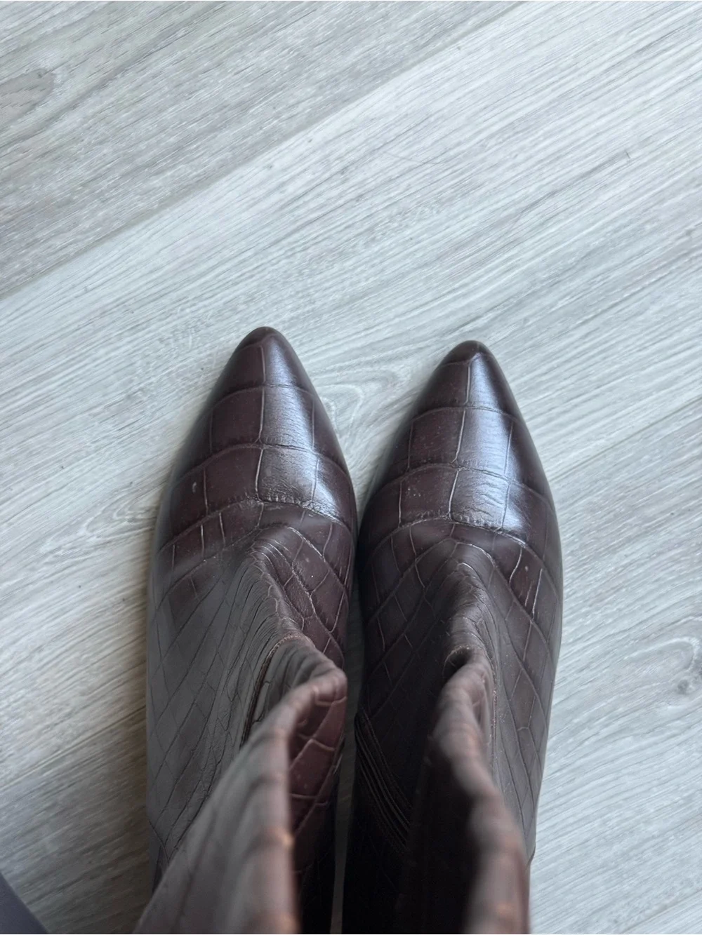 Halogen croc embossed